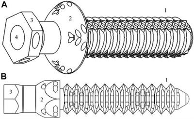 Test of Designing and Manufacturing a Polyether Ether Ketone Endoprosthesis for Canine Extremities by 3D Printing